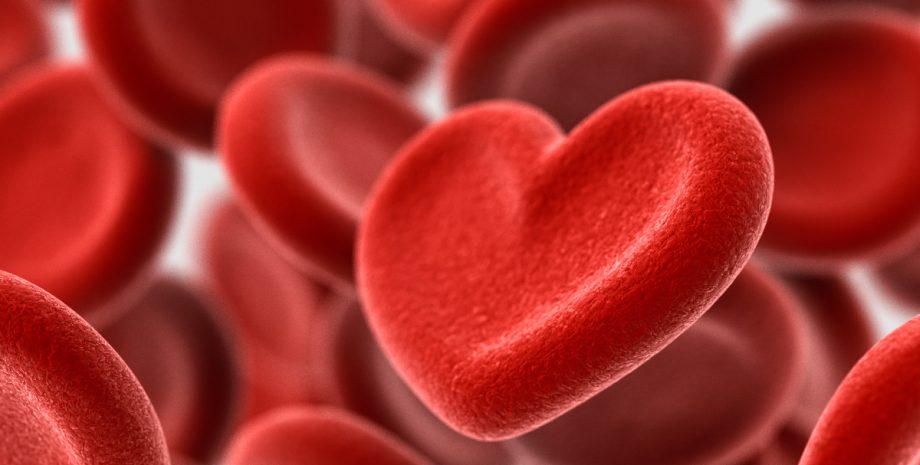 Blood cells in the shapes of hearts.